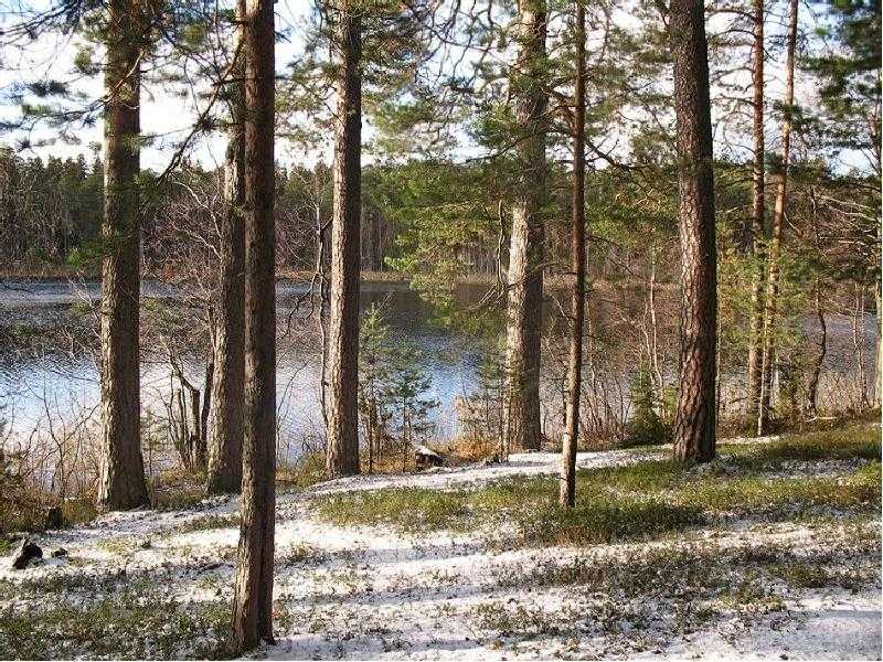 Что можно и нельзя делать 3 ноября 2022 в среду