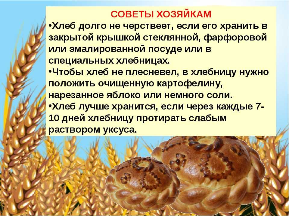 Почему плесневеет хлеб – значит ли это, что он некачественный | говорю как есть | дзен