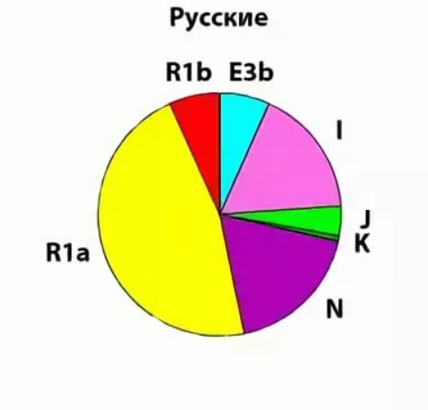 Монголо-татарские гены: есть ли они в русском народе — кириллица — энциклопедия русской жизни