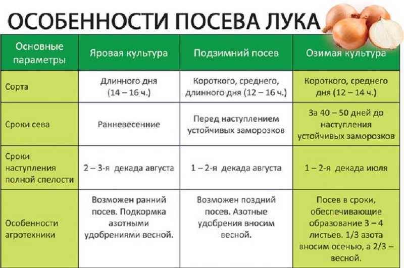Посадка лука в мае 2022 года по лунному календарю, благоприятные дни