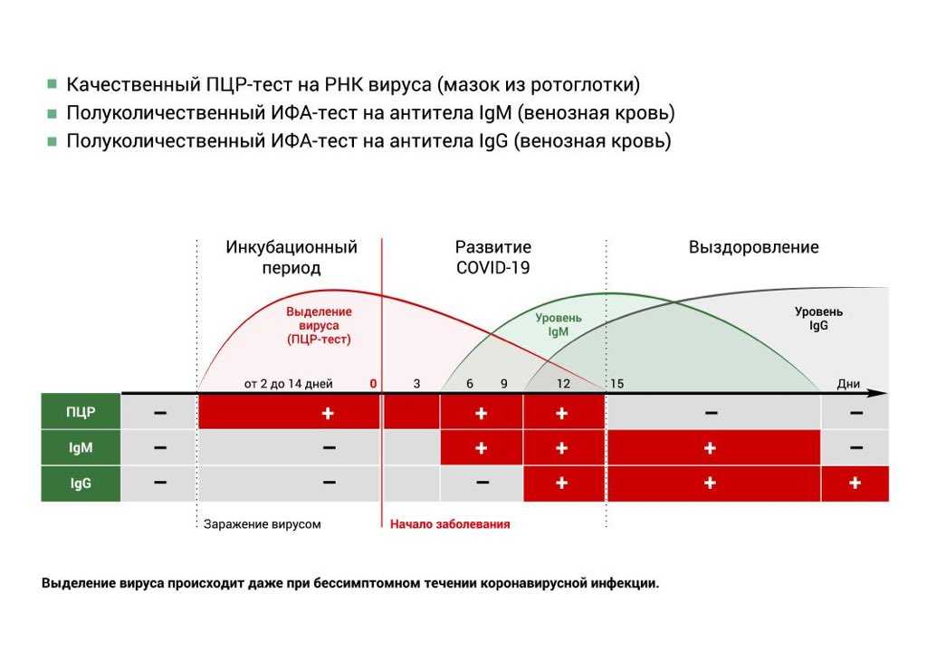 Актуальна ли сейчас вакцинация от коронавируса – мнения вирусолога и инфекциониста