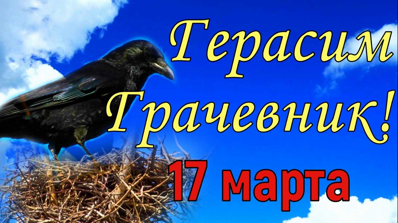 День герасима-грачевника: приметы и традиции