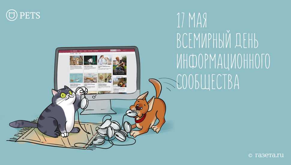 Картинки с днем интернета 17 мая