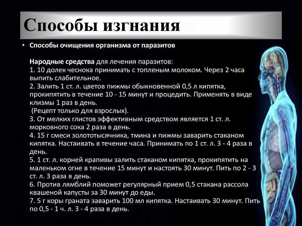 Подселенец: признаки, виды | есть ли у меня подселенец?