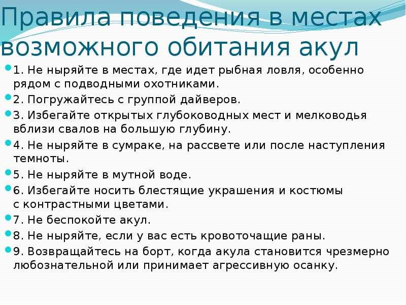 Акулы в египте. нападение на людей акул в красном море в шарм-эль-шейхе и хургаде в 2017 году