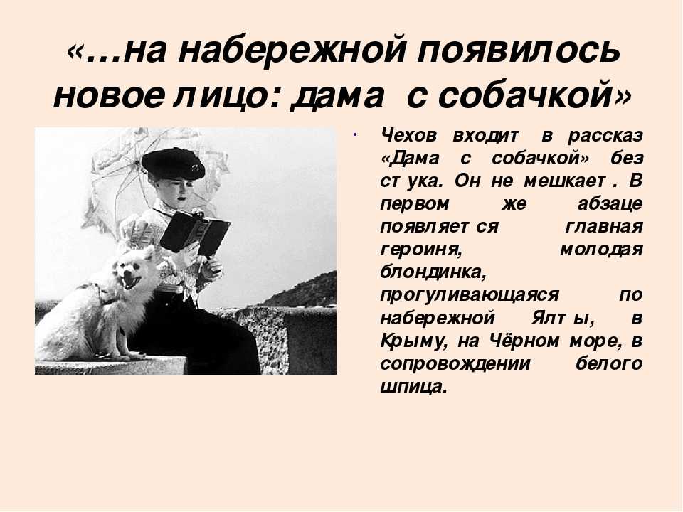 Анализ рассказа чехова «дама с собачкой» :: сочинение по литературе на сочиняшка.ру