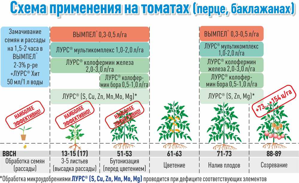 Когда сажать томатную рассаду в мае: благоприятные дни для посадки