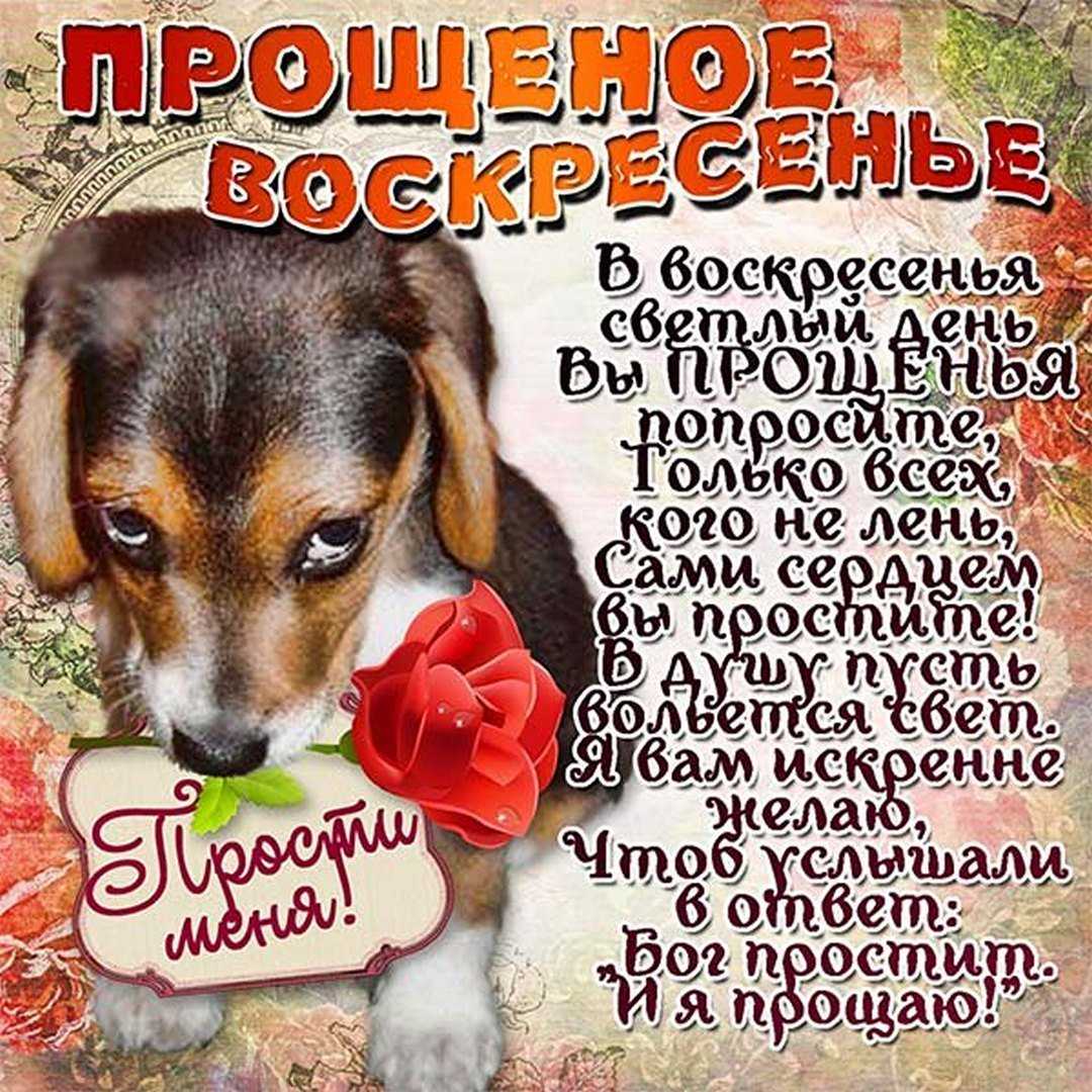В какие дни убираться, мыть полы дома – приметы про уборку на неделю