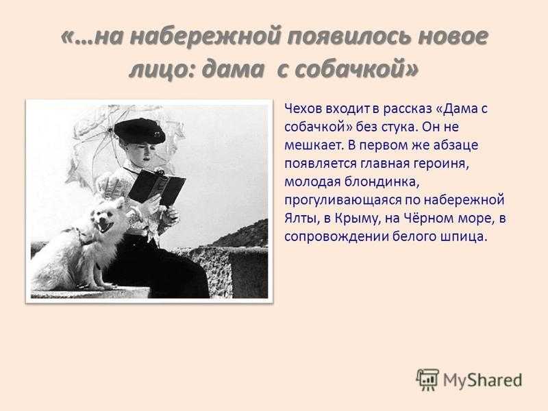 Зачем куртизанки заводили маленьких собачек, и почему мода на даму с собачкой дошла до наших дней