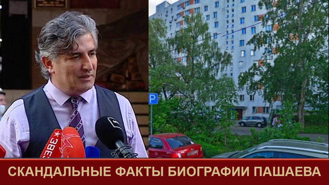Эльман пашаев: биография адвоката михаила ефремова