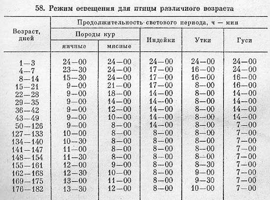 Ленинградская область световой день в мае. Световой день прибавляется. Когда увеличивается световой день. Прибавка светового дня. График светового дня.