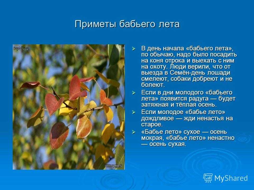 Когда начнется второе бабье лето на территории россии в 2020 году - 1rre