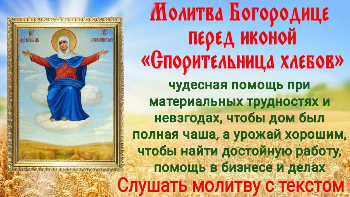 Молитва пресвятой богородице спорительница хлебов текст молитвы. Спорительница хлебов икона. Икона Пресвятой Богородицы Спорительница хлебов. 28 Октября день иконы Божией матери Спорительница хлебов. Икона Спорительница хлебов Амвросия Оптинского.