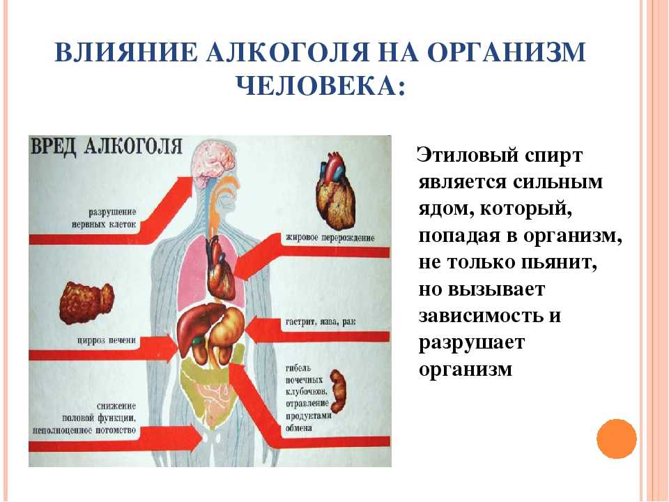 Как изменяется личность человека под действием алкоголя