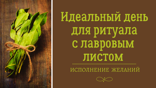 Защита и исполнение желаний при помощи лаврового листа