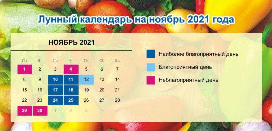 Новолуние и перигей луны 5 ноября 2021 года: что этот день принесет знакам зодиака