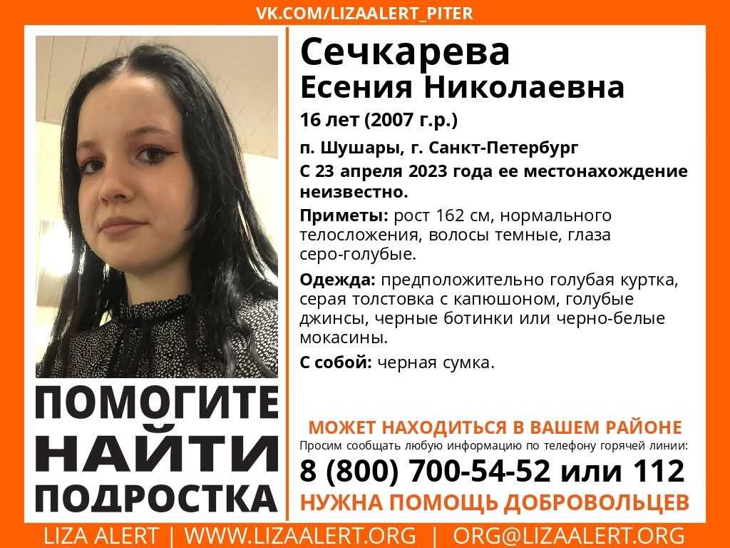 "лиза алерт": инструкция как стать волонтером | правмир
