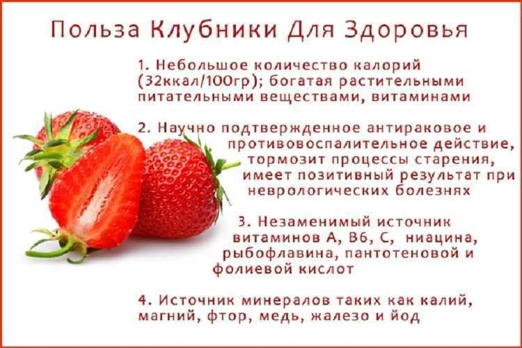 Клубника – полезные свойства, состав и противопоказания