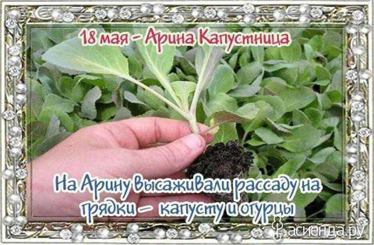 Народные приметы, советы и обряды на николу летнего 22 мая 2022 года