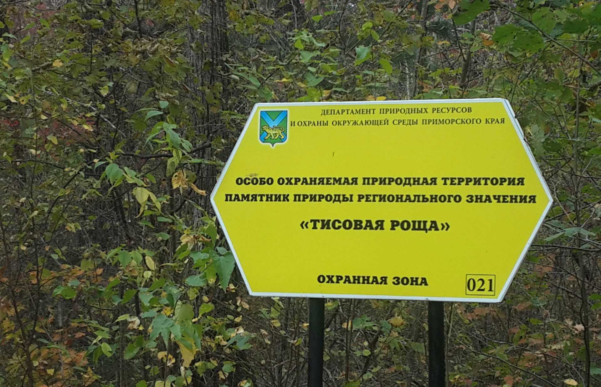 Заповедное приморье: край редких кошек, первозданной тайги и морских оазисов - primamedia