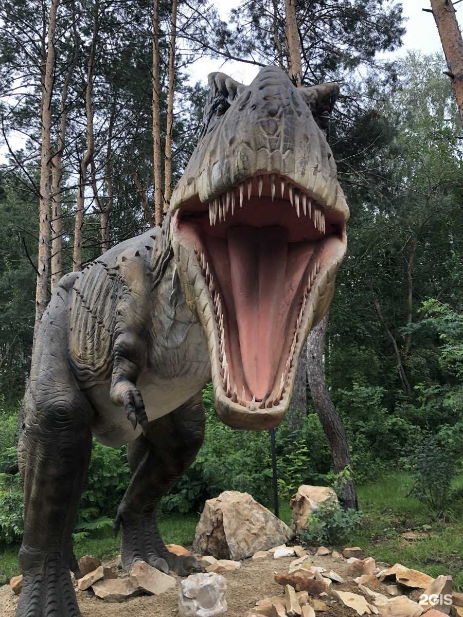 «проснувшиеся» динозавры. в белгородском динопарке открывают новый сезон