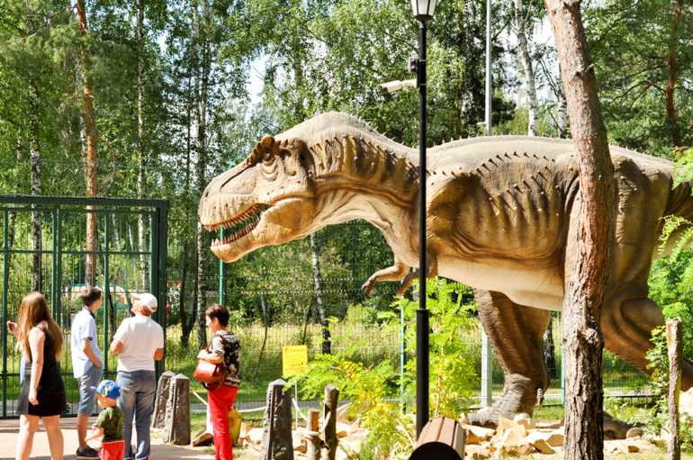 «проснувшиеся» динозавры. в белгородском динопарке открывают новый сезон — fonar.tv