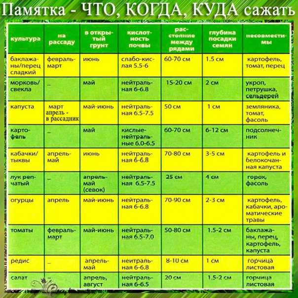 Можно ли сажать в чистый четверг перед пасхой огород и рассаду