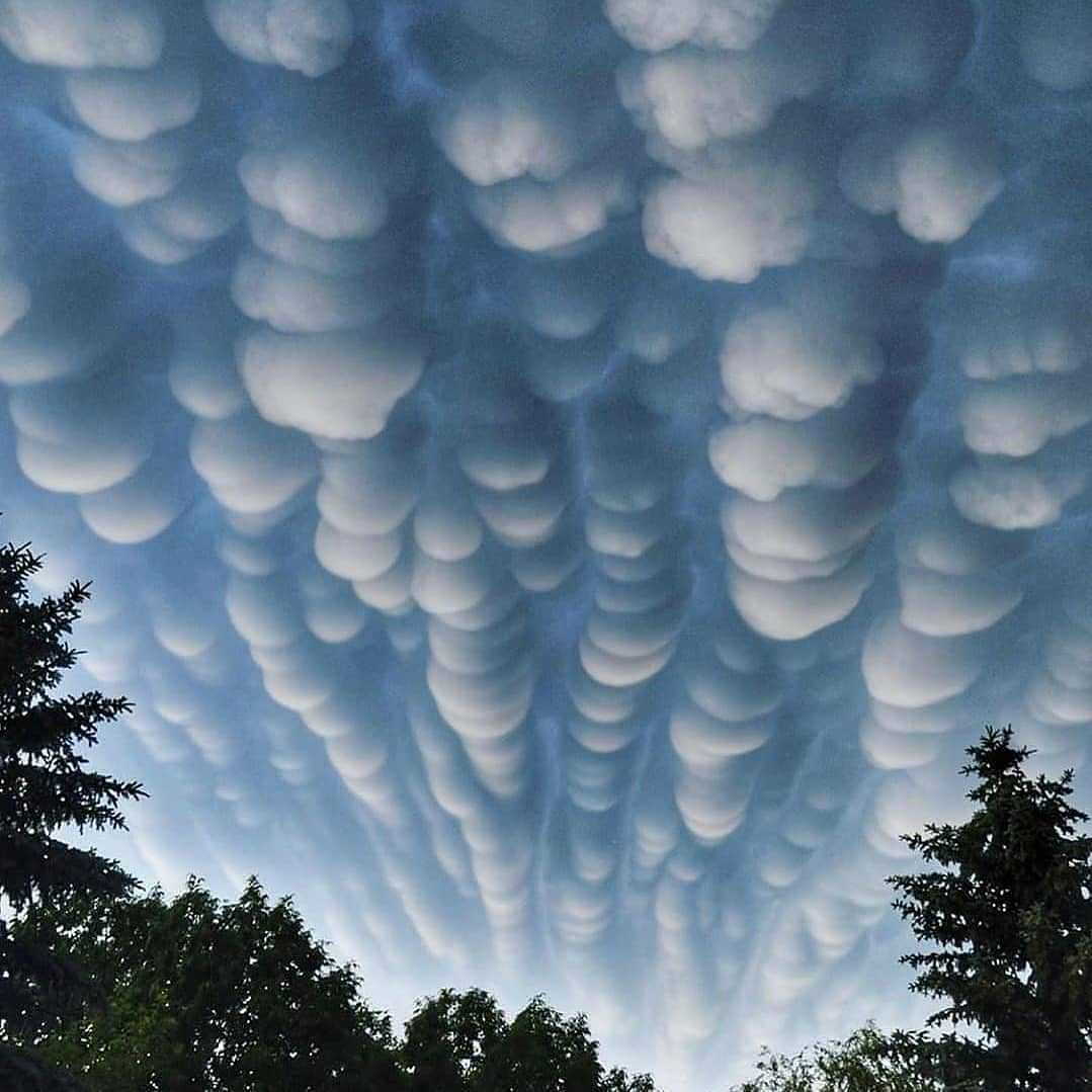 Поразительные вымяобразные облака mammatus