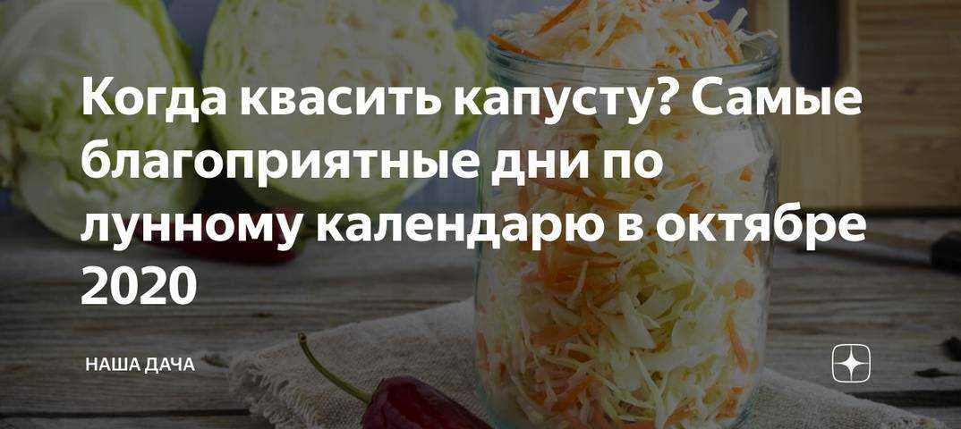 Когда солить капусту в октябре и далее в 2022: благоприятные дни по лунному календарю