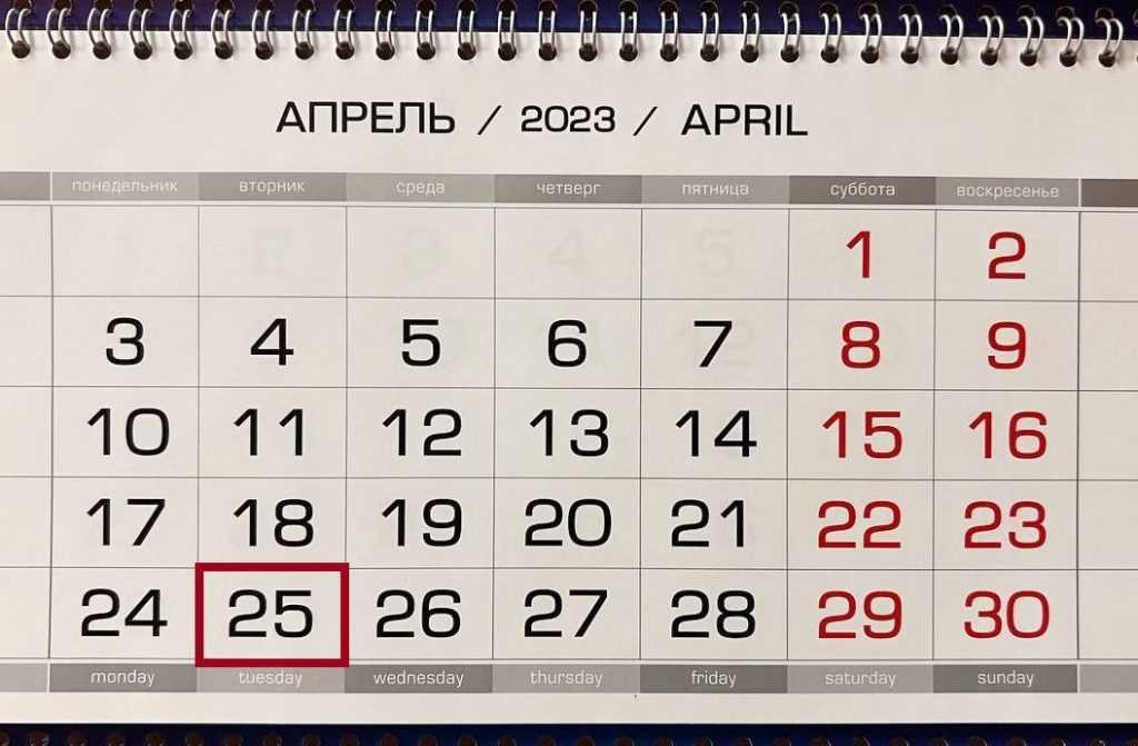 «без поддержки не оставят!»: график работы почты россии и сбербанка в новогодние праздники в 2023 году – последние новости