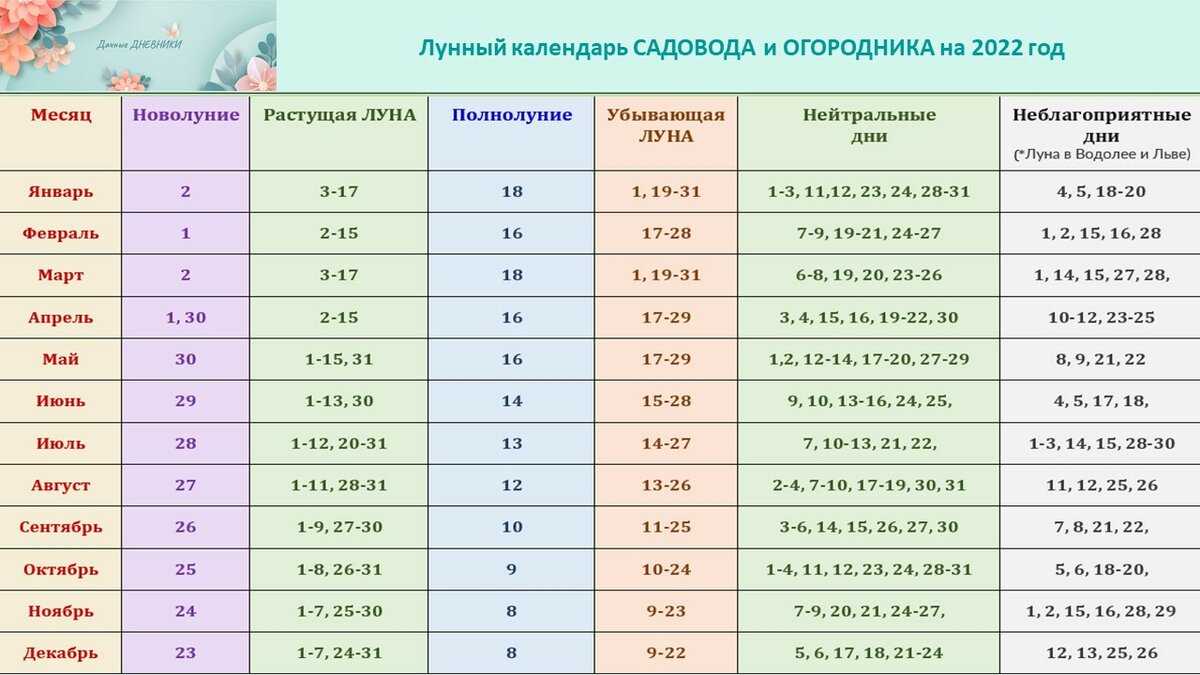 Лунный календарь повседневности: благоприятные дни для разных дел в  ноябре 2021