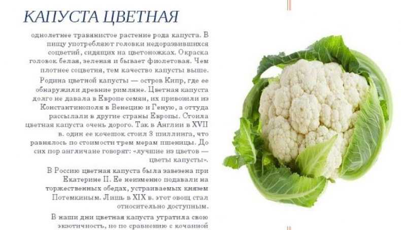 Диета при мочекаменной болезни у мужчин и женщин, запрещенные продукты