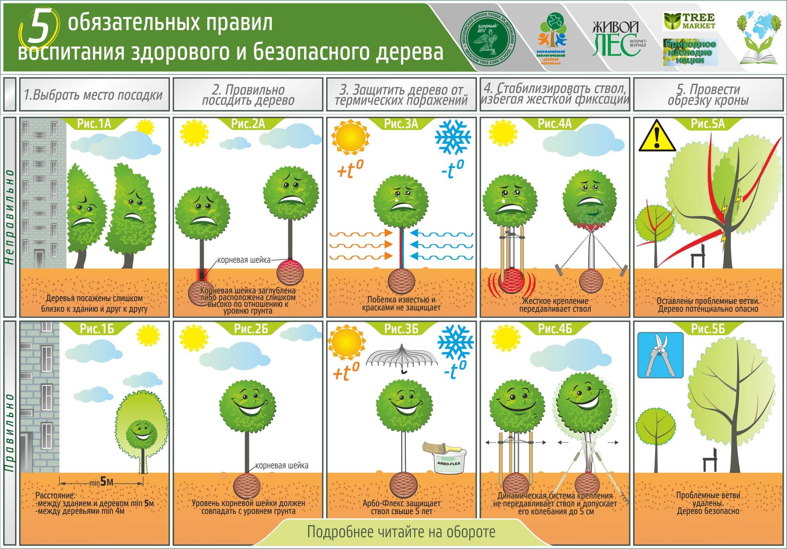 Подготовка огорода и плодовых деревьев к зиме: процедуры и правила