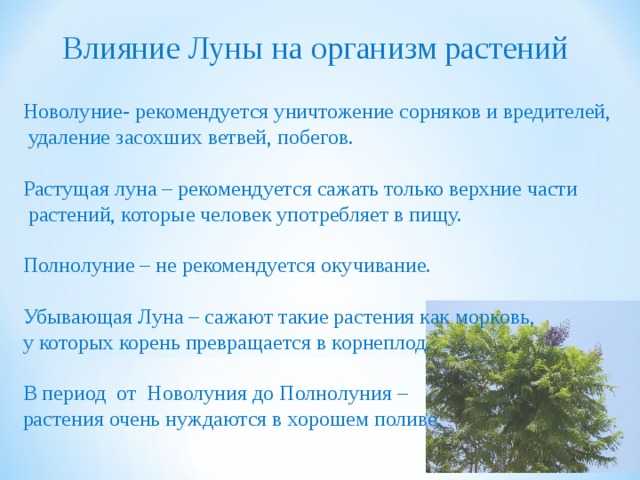 Влияние луны на организм