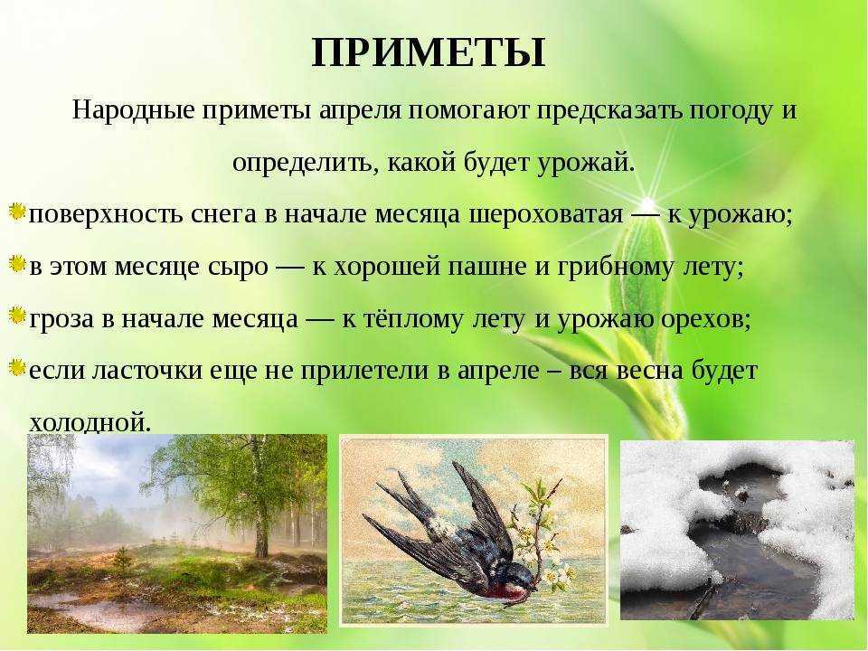 Весна 2023 года: сроки начала, прогнозы и приметы