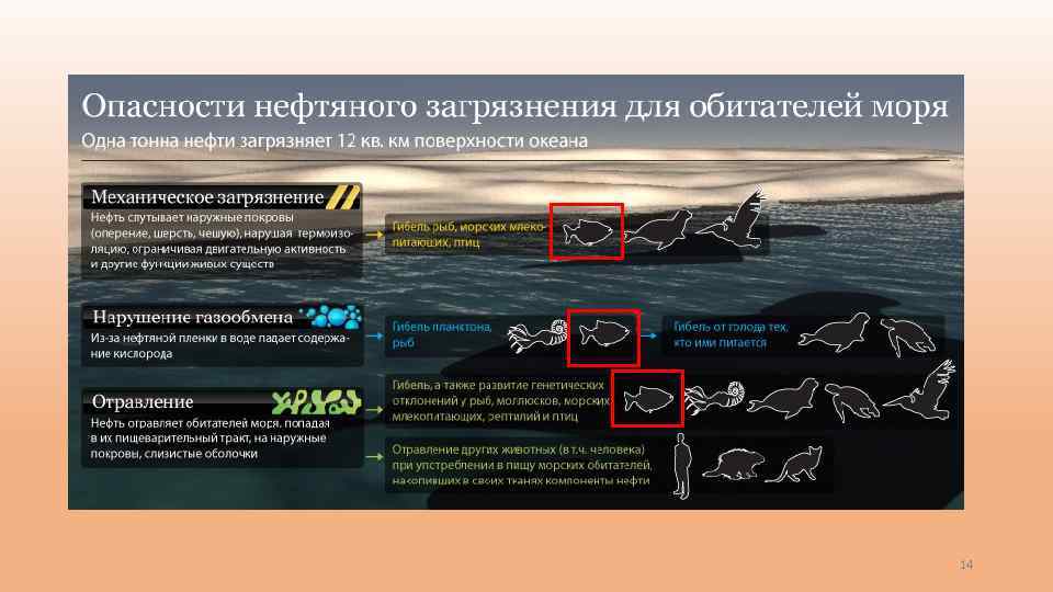 Разлив нефти по курортам краснодарского края | эксперт юг