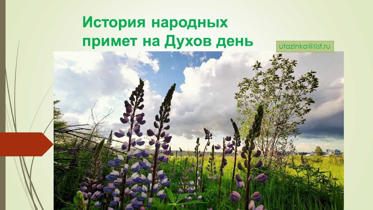 Духов день в 2023 году: приметы, традиции, празднование