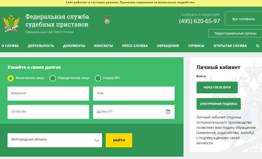Банк данных исполнительных производств службы судебных приставов: что это такое