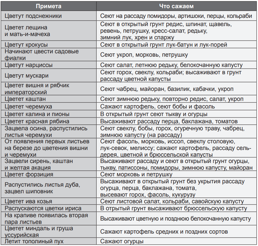 Как правильно говорить сажать или сажу. Народные приметы для посадки. Посадки по приметам. Посадка овощей по народным приметам. Народные приметы сажать