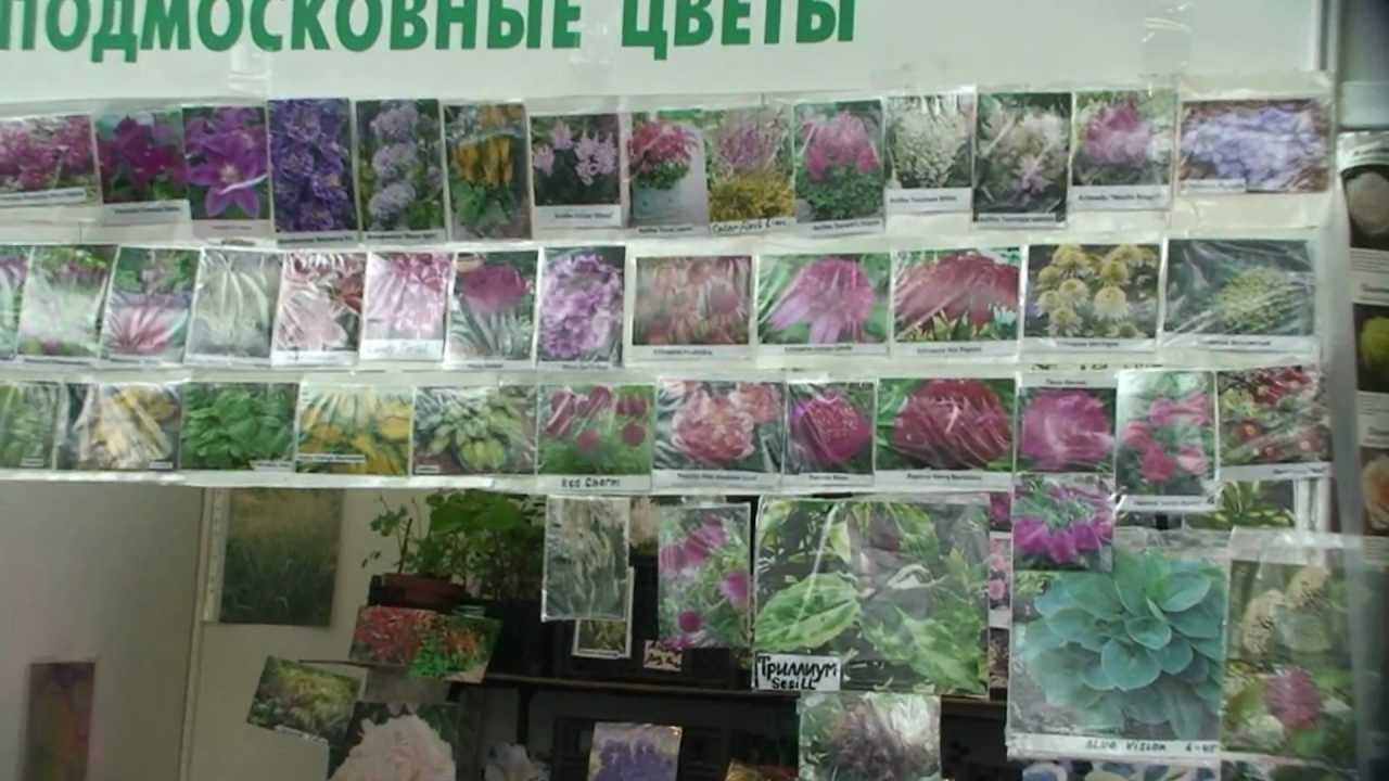 Выставка дача сад осенью