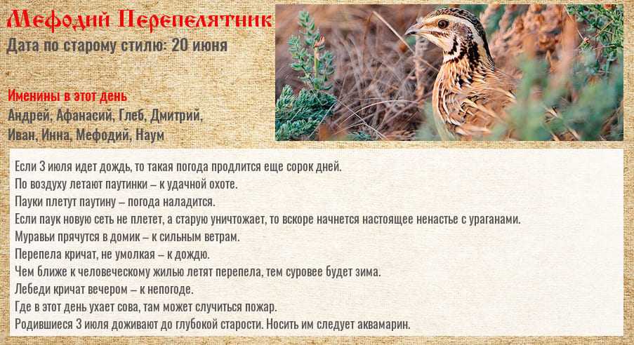 Приметы на 3 января 2022 года: что категорически запрещается делать в этот день? » лента новостей казахстана и мира - kazlenta.kz