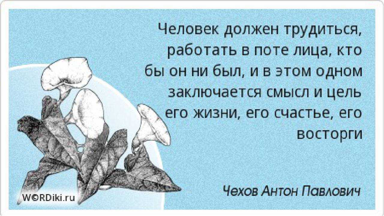 Косметологи попрекают кейт миддлтон за преждевременное старение