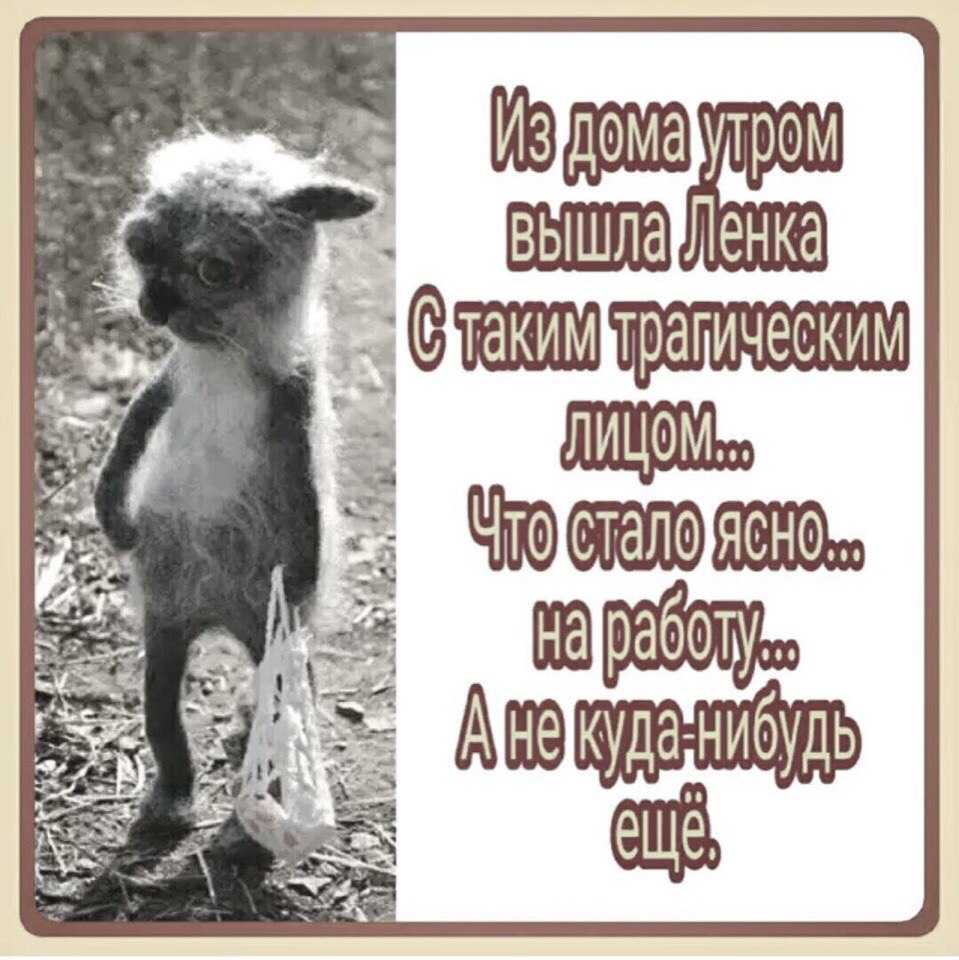 Музыкальный аккорд истории | мемоклуб.ру