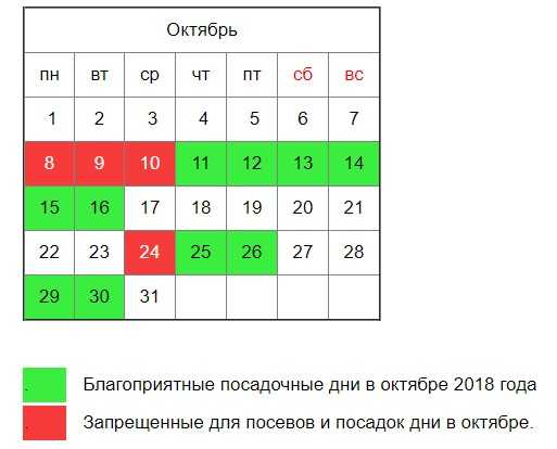 Лунный календарь посева и посадок на 2023 год на каждый день