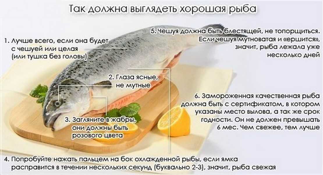 Библейское меню. ветхий завет о «вкусной и здоровой пище»